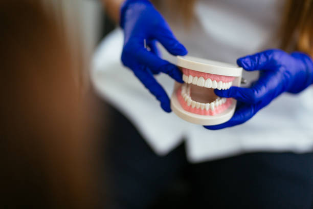 Best Dental Fillings (Composite and Amalgam)  in Holden Heights, FL